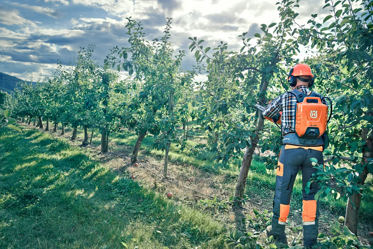 Husqvarna 545i XP Akku-Kettensäge 36V – Image 5